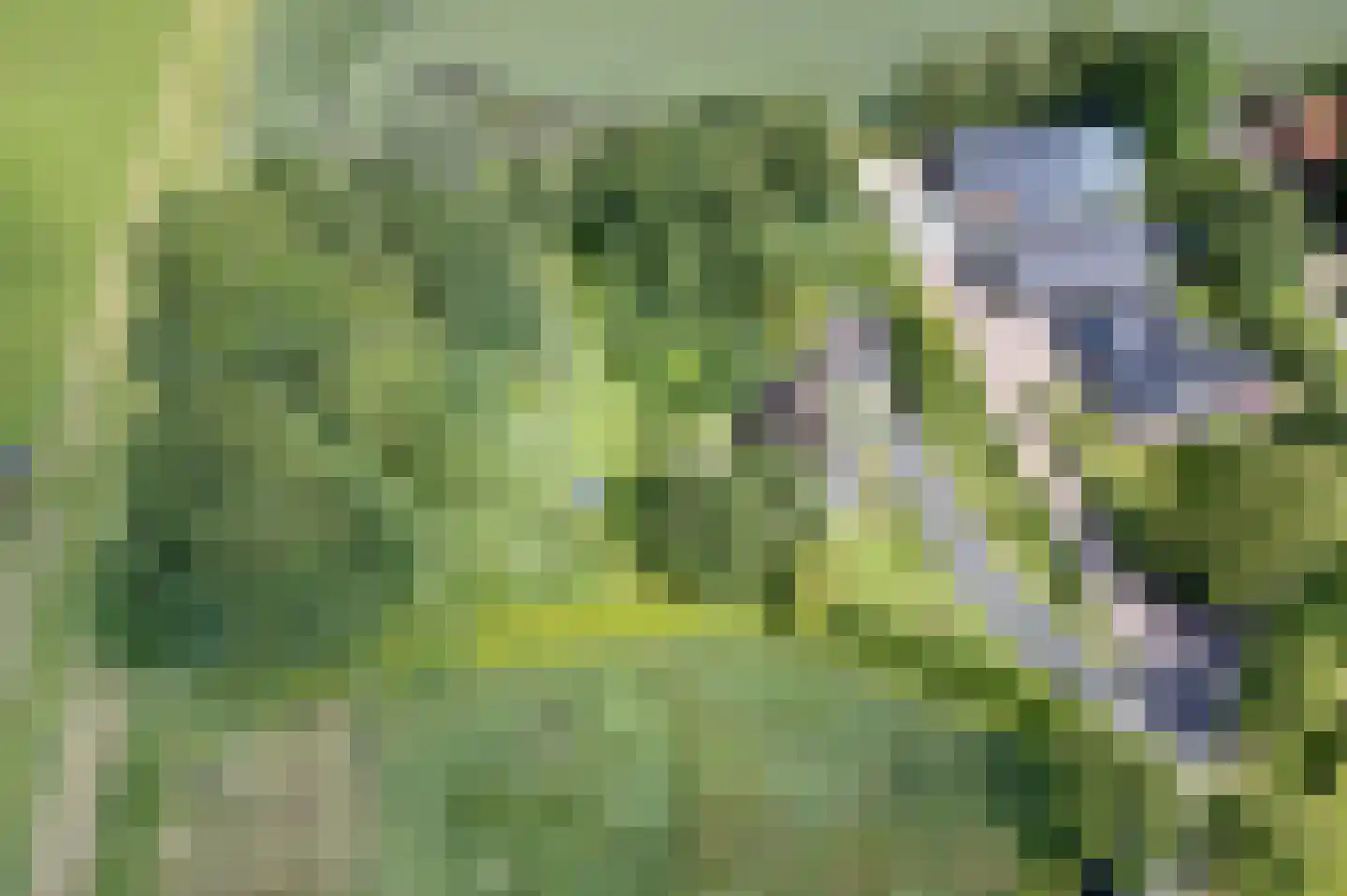 Niesoordlaan 109 Midwolda thumbnail 30