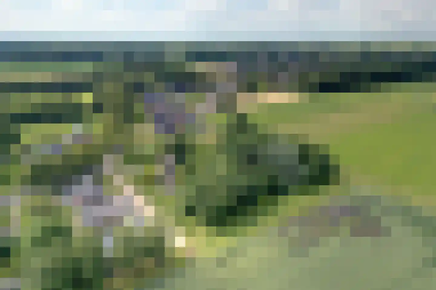 Niesoordlaan 109 Midwolda thumbnail 31