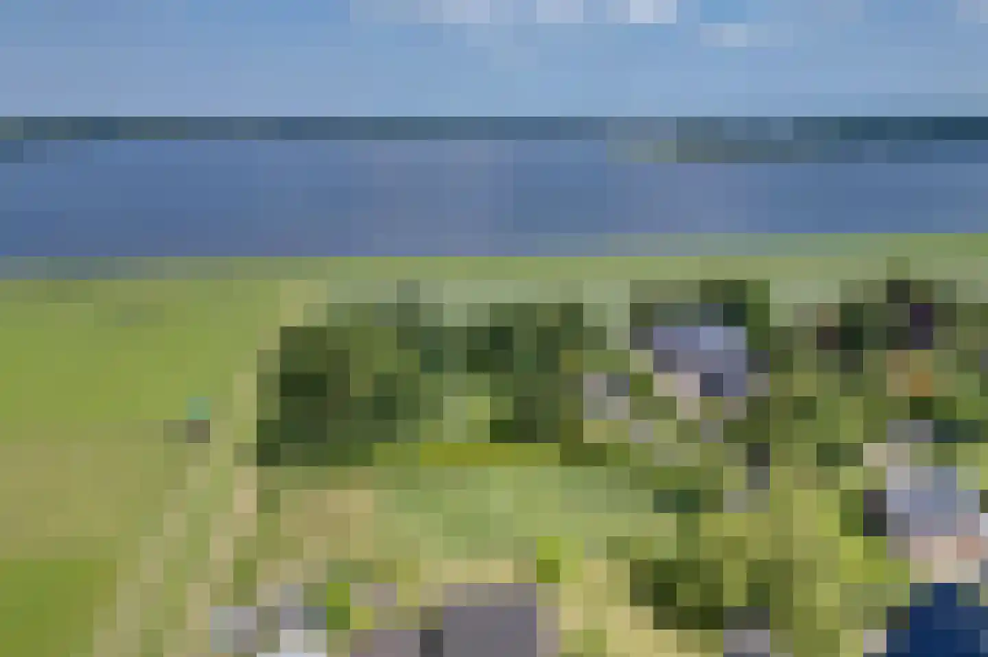 Niesoordlaan 109 Midwolda thumbnail 4