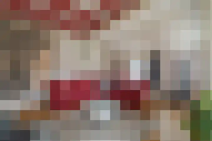 Niesoordlaan 28 Midwolda thumbnail 11