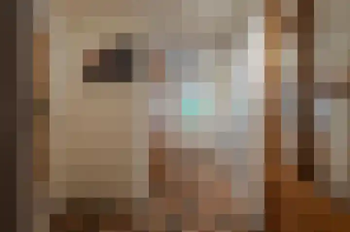 Niesoordlaan 28 Midwolda thumbnail 20
