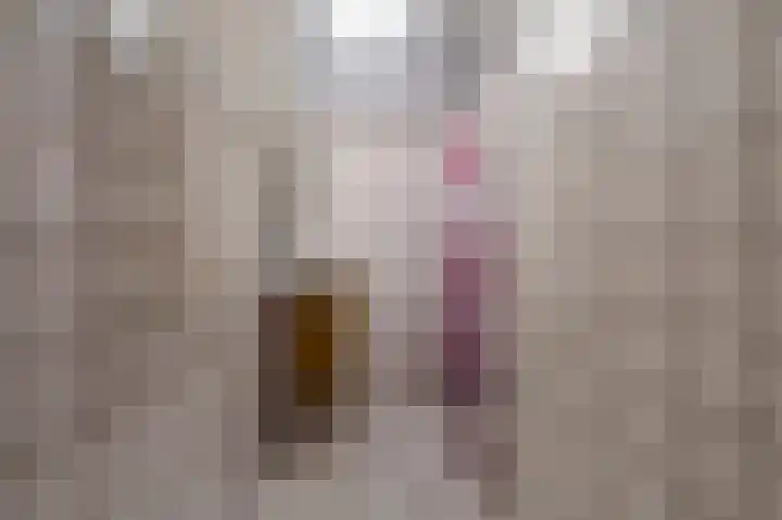 Niesoordlaan 28 Midwolda thumbnail 22