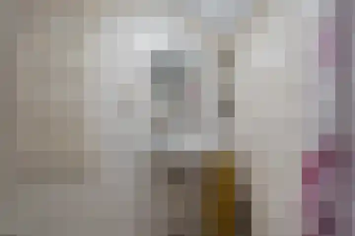 Niesoordlaan 28 Midwolda thumbnail 24