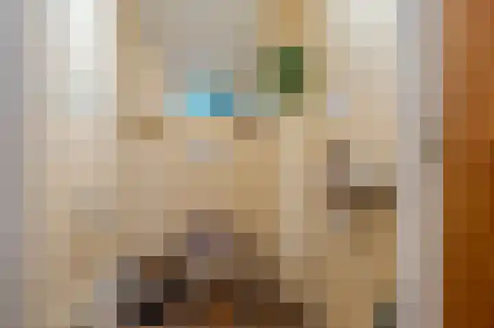 Niesoordlaan 28 Midwolda thumbnail 25