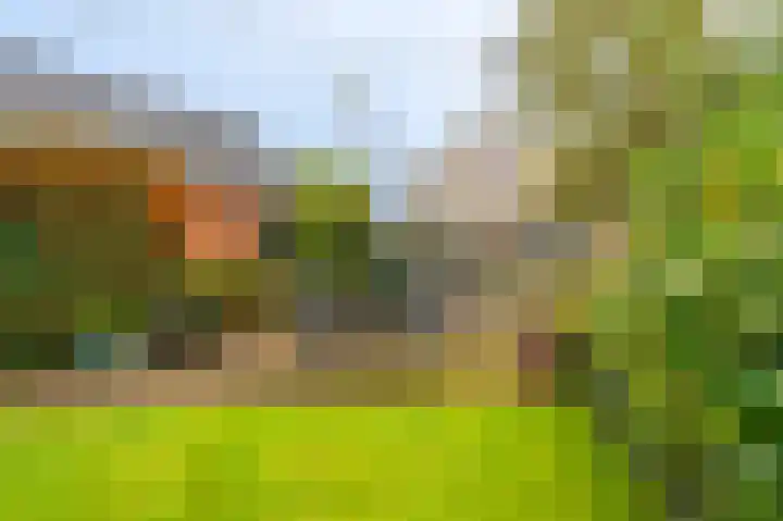 Niesoordlaan 28 Midwolda thumbnail 36