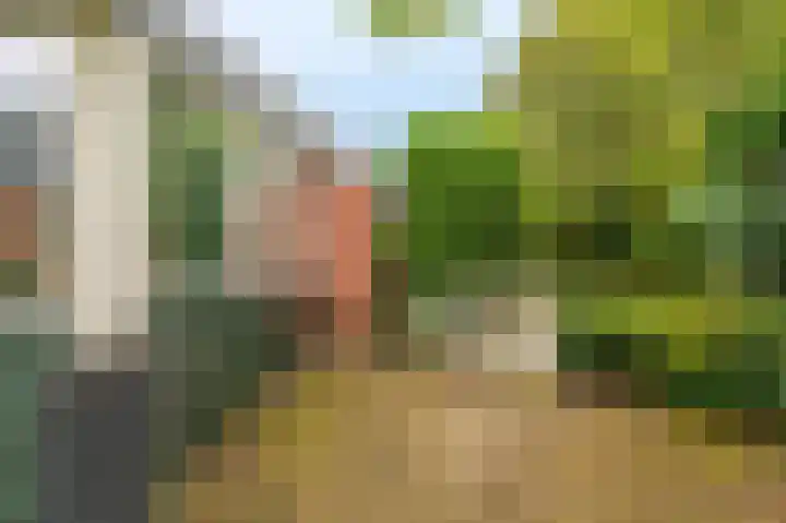 Niesoordlaan 28 Midwolda thumbnail 37