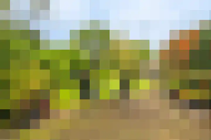 Niesoordlaan 28 Midwolda thumbnail 38