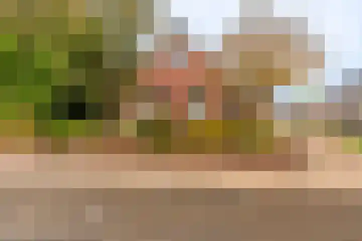 Niesoordlaan 28 Midwolda thumbnail 4