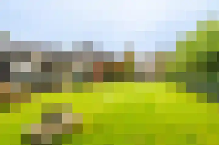 Niesoordlaan 28 Midwolda thumbnail 40