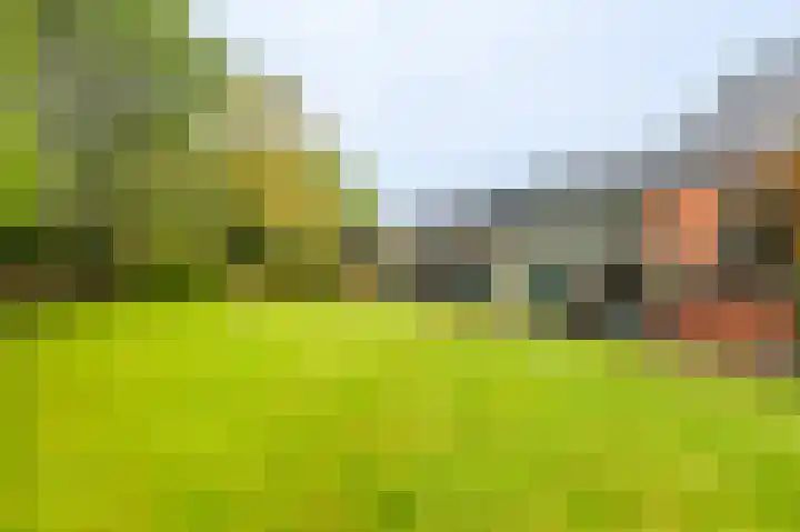 Niesoordlaan 28 Midwolda thumbnail 41