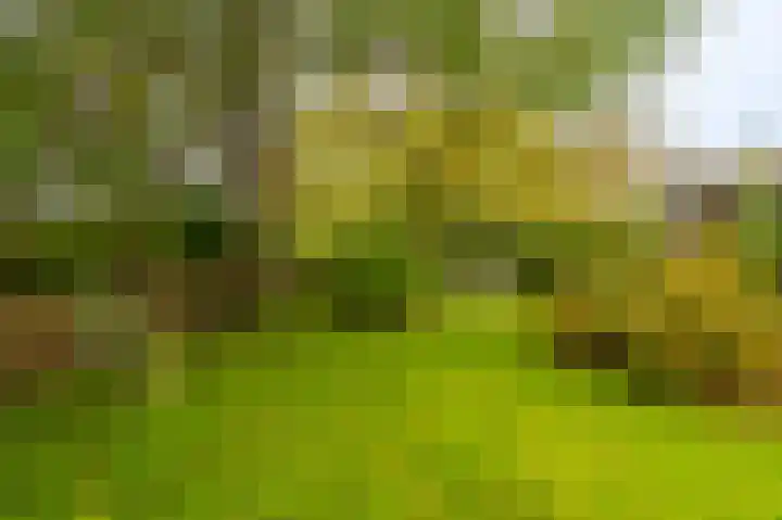 Niesoordlaan 28 Midwolda thumbnail 42