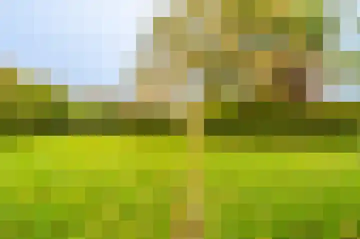 Niesoordlaan 28 Midwolda thumbnail 43