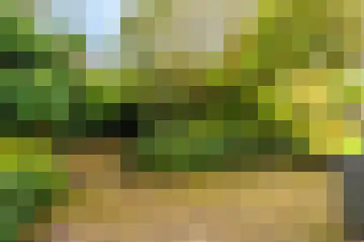 Niesoordlaan 28 Midwolda thumbnail 44