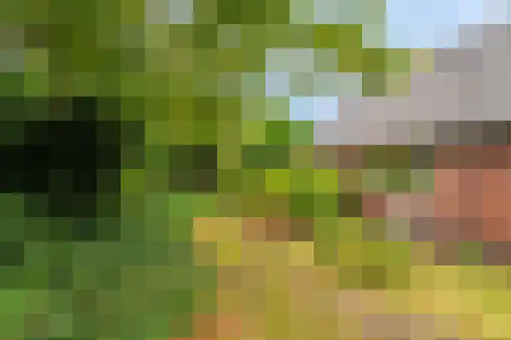Niesoordlaan 28 Midwolda thumbnail 45
