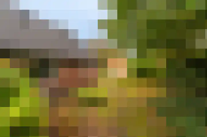 Niesoordlaan 28 Midwolda thumbnail 46