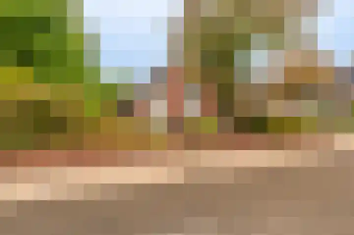 Niesoordlaan 28 Midwolda thumbnail 5