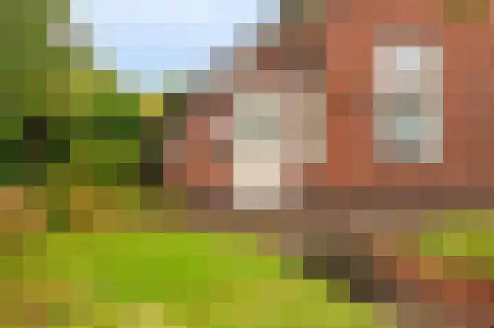 Niesoordlaan 28 Midwolda thumbnail 6