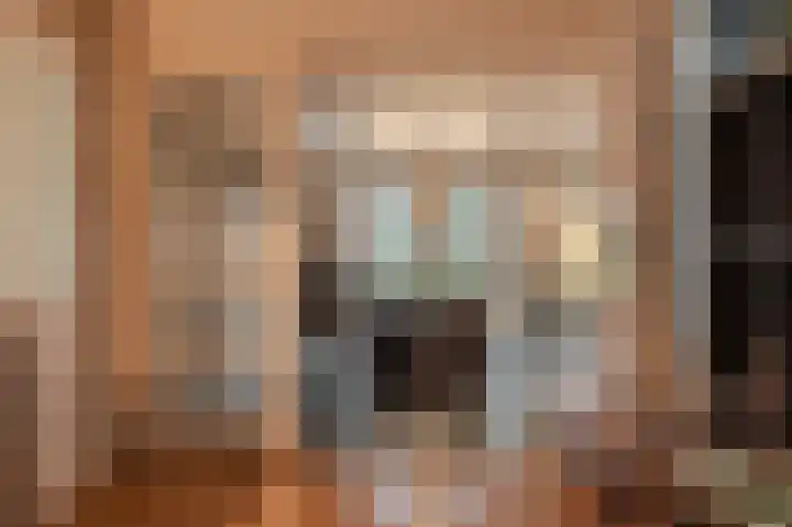 Niesoordlaan 67 B Midwolda thumbnail 11