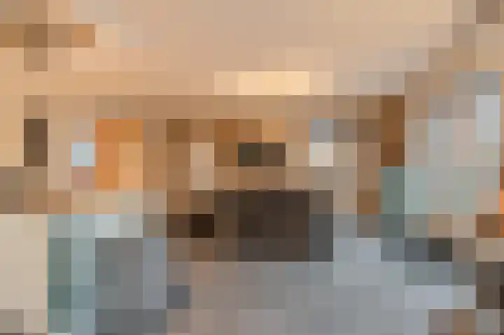 Niesoordlaan 67 B Midwolda thumbnail 17