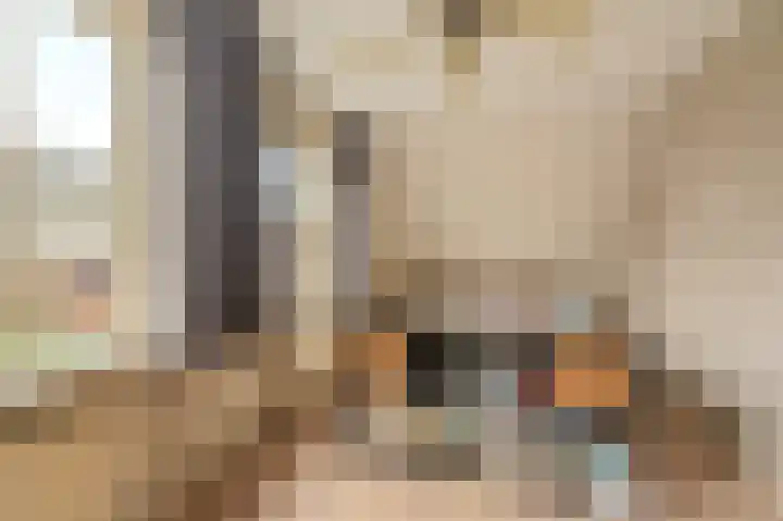 Niesoordlaan 67 B Midwolda thumbnail 28