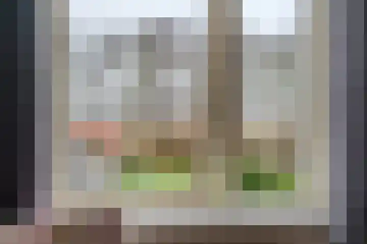 Niesoordlaan 67 B Midwolda thumbnail 30