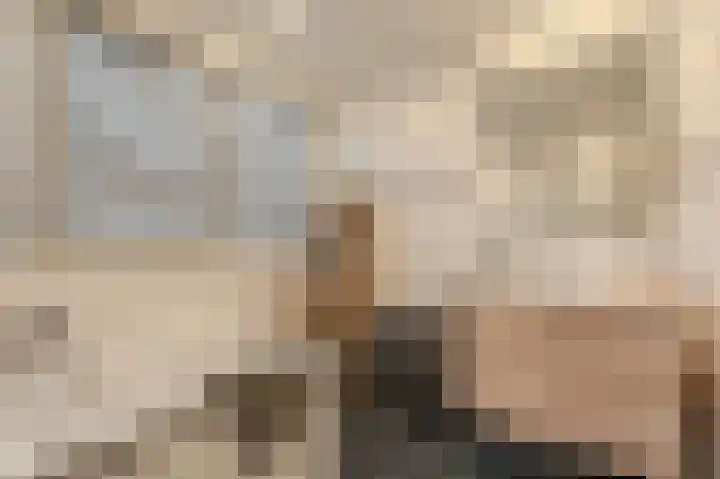 Niesoordlaan 67 B Midwolda thumbnail 33