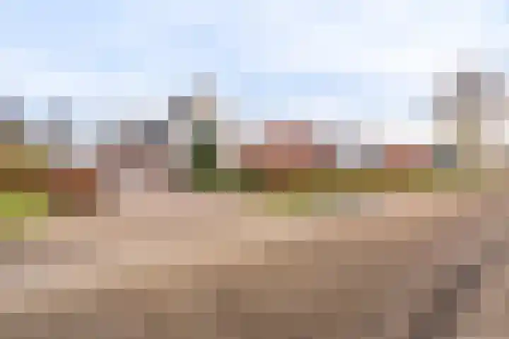 Niesoordlaan 67 B Midwolda thumbnail 35
