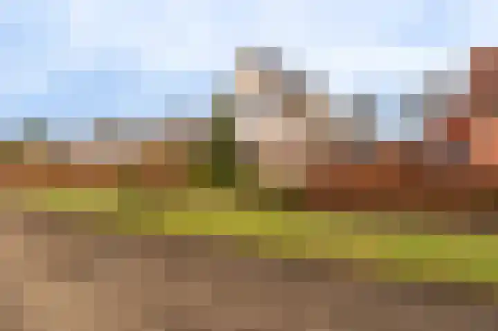 Niesoordlaan 67 B Midwolda thumbnail 36