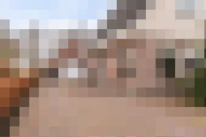 Niesoordlaan 67 B Midwolda thumbnail 38