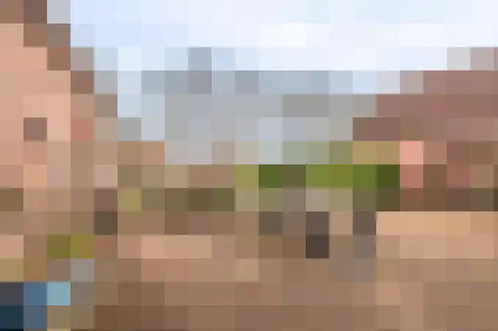 Niesoordlaan 67 B Midwolda thumbnail 40
