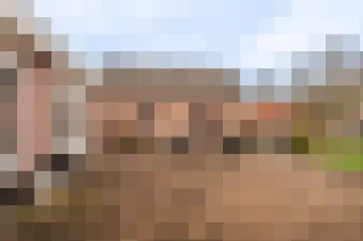 Niesoordlaan 67 B Midwolda thumbnail 41