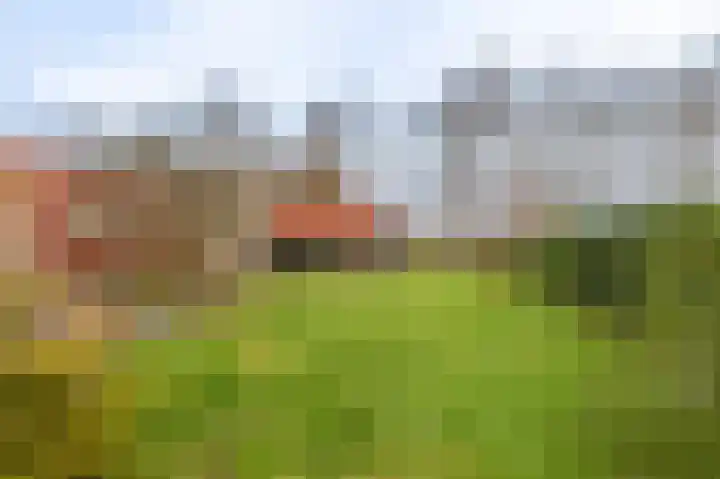 Niesoordlaan 67 B Midwolda thumbnail 42
