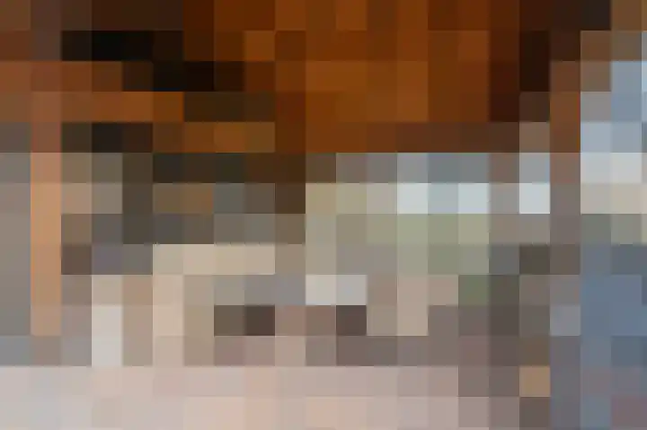 Niesoordlaan 67 B Midwolda thumbnail 45