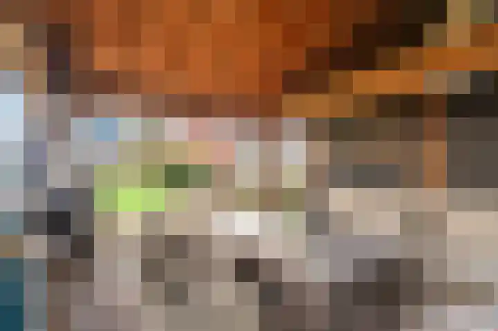 Niesoordlaan 67 B Midwolda thumbnail 46