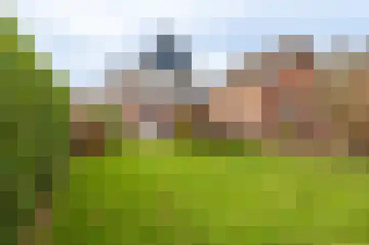 Niesoordlaan 67 B Midwolda thumbnail 48