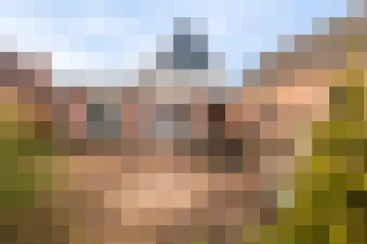 Niesoordlaan 67 B Midwolda thumbnail 49