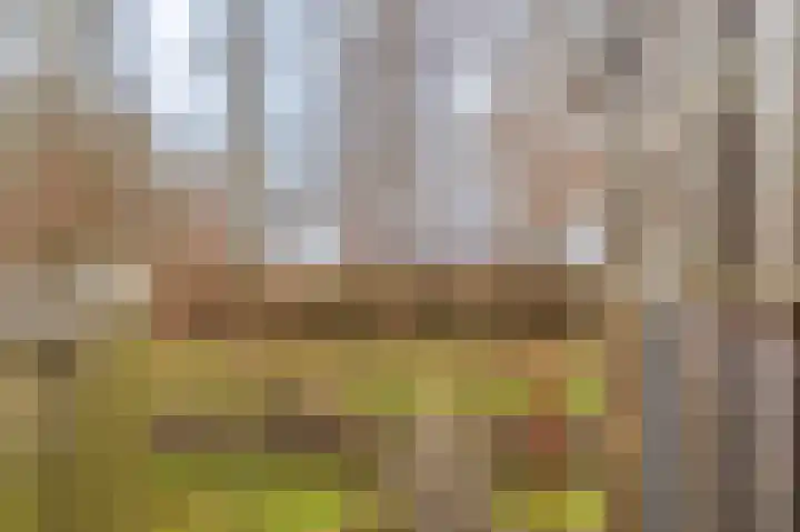 Niesoordlaan 67 B Midwolda thumbnail 50