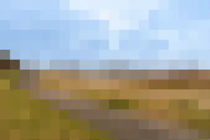 Niesoordlaan 67 B Midwolda thumbnail 53