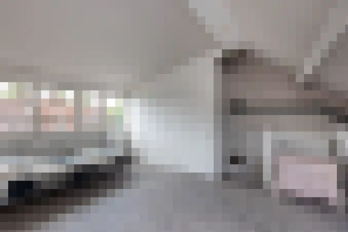 Niessinkkamp 36 Eibergen thumbnail 26