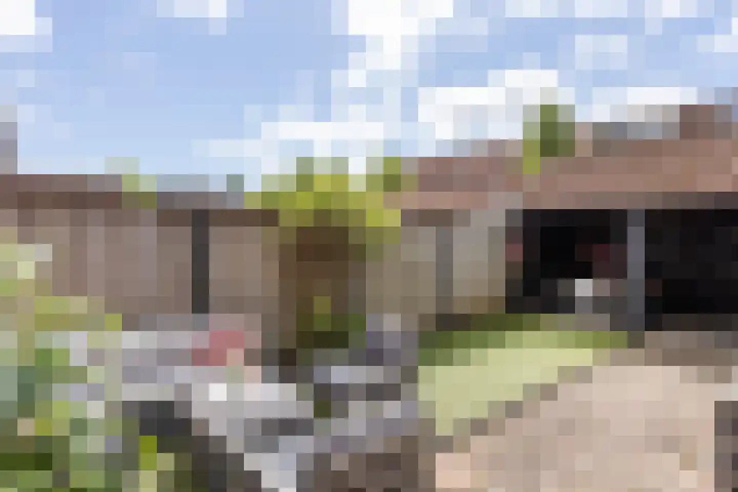 Niessinkkamp 36 Eibergen thumbnail 30
