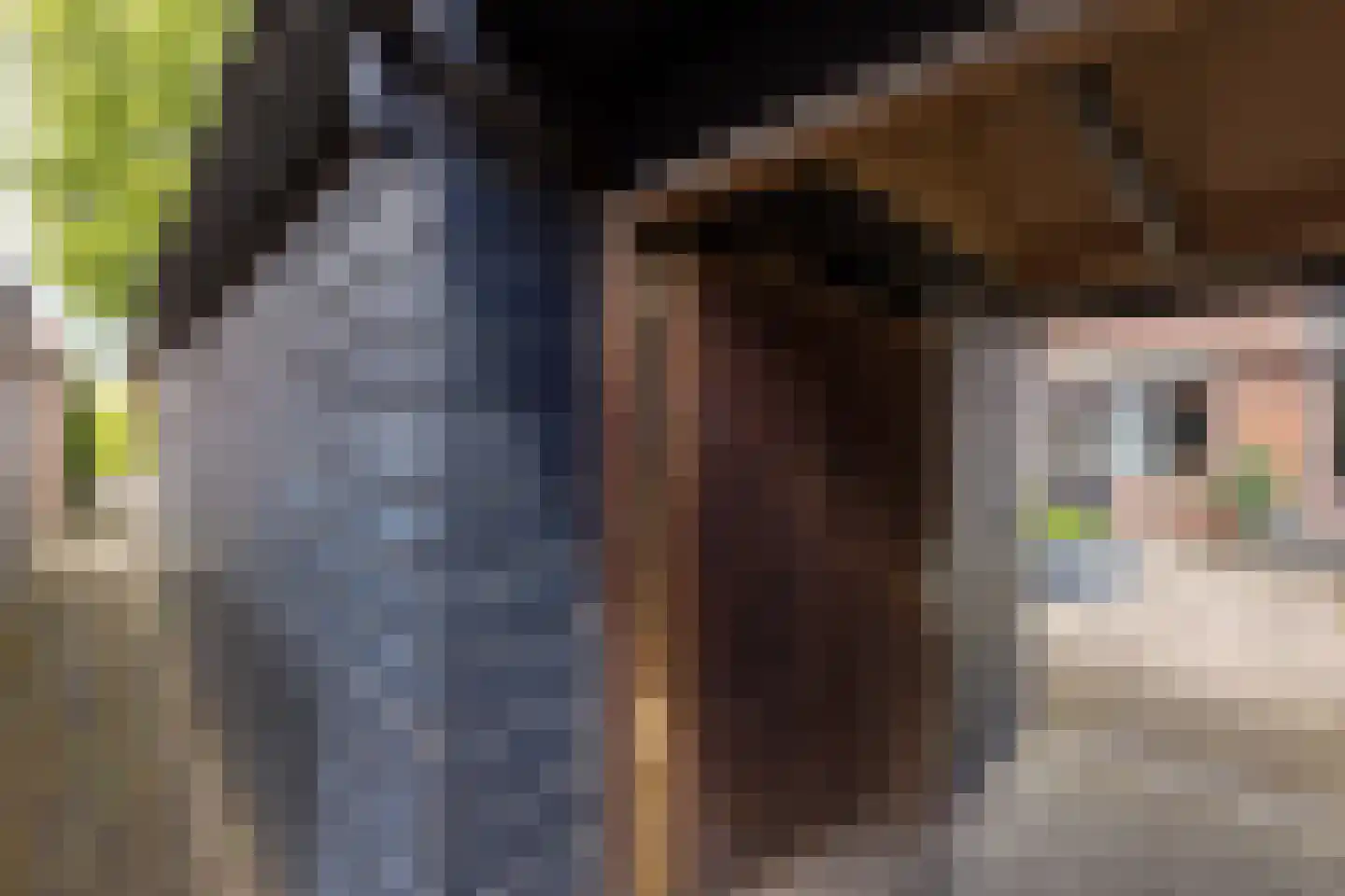 Niessinkkamp 36 Eibergen thumbnail 33