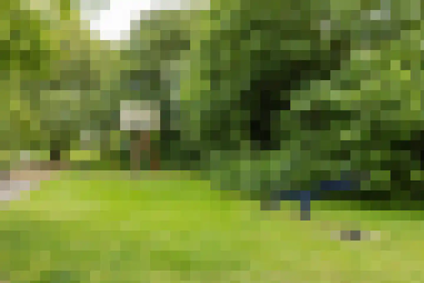 Niessinkkamp 36 Eibergen thumbnail 41