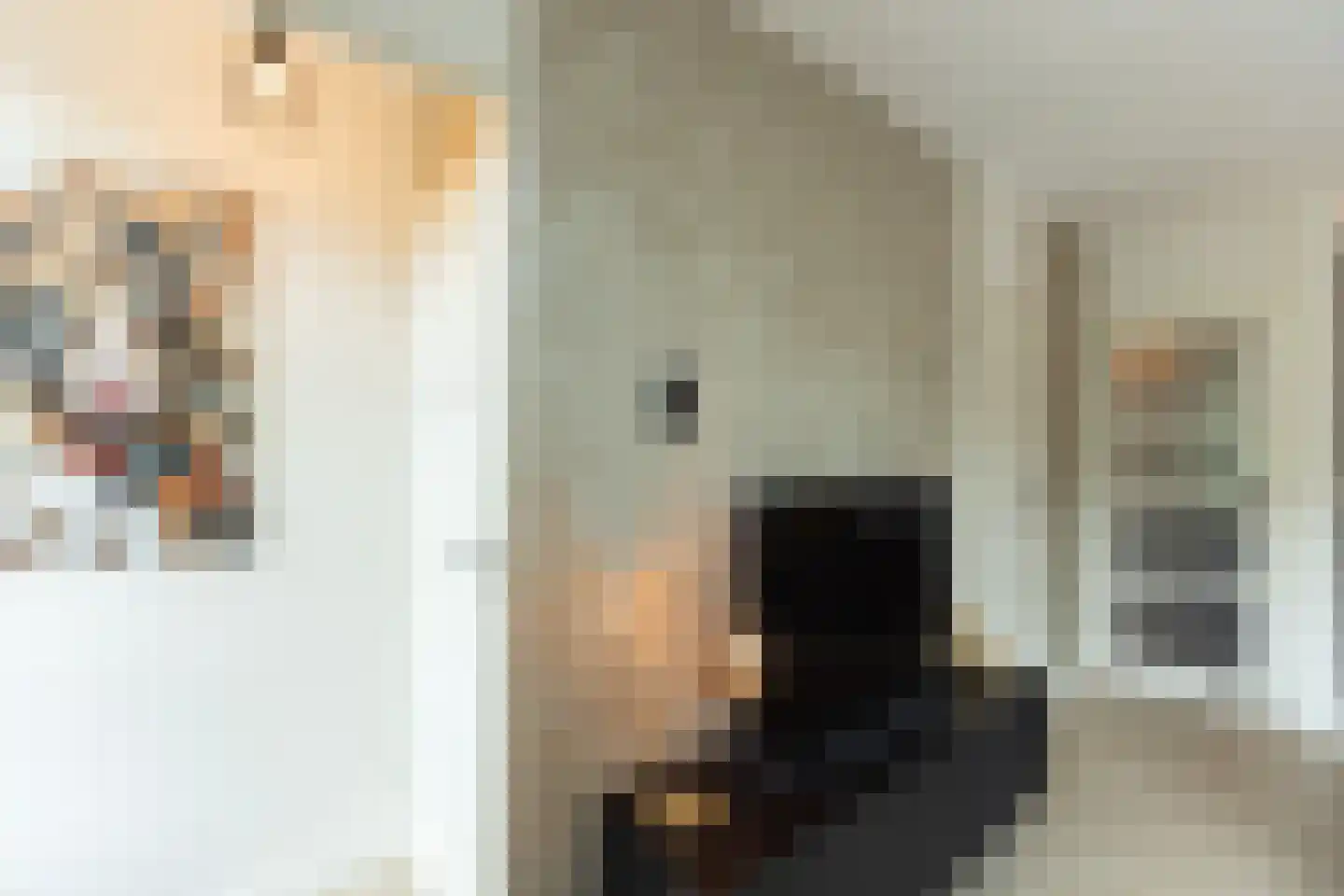 Niessinkkamp 36 Eibergen thumbnail 6