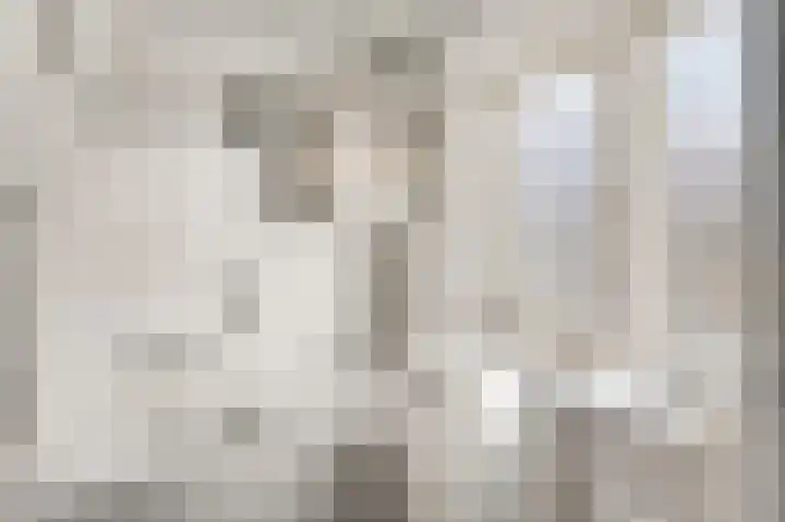 Niesstraat 14 Ell thumbnail 22