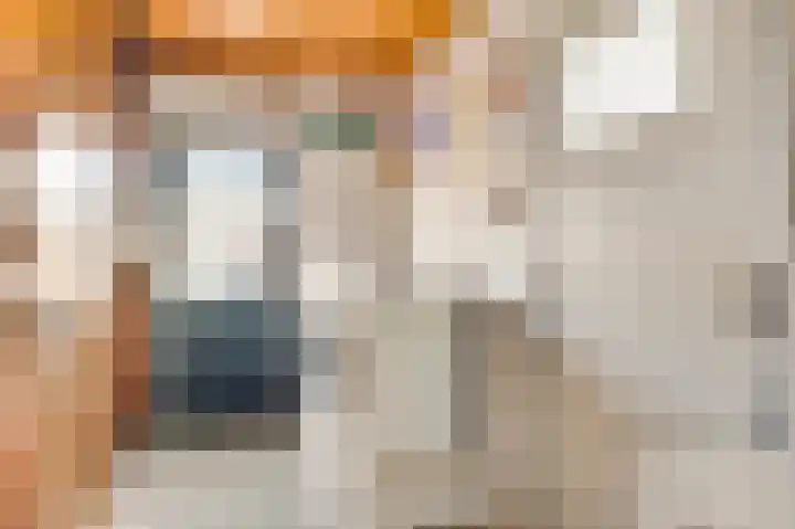 Niesstraat 14 Ell thumbnail 25