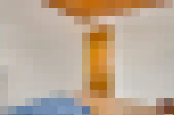 Niesstraat 14 Ell thumbnail 30