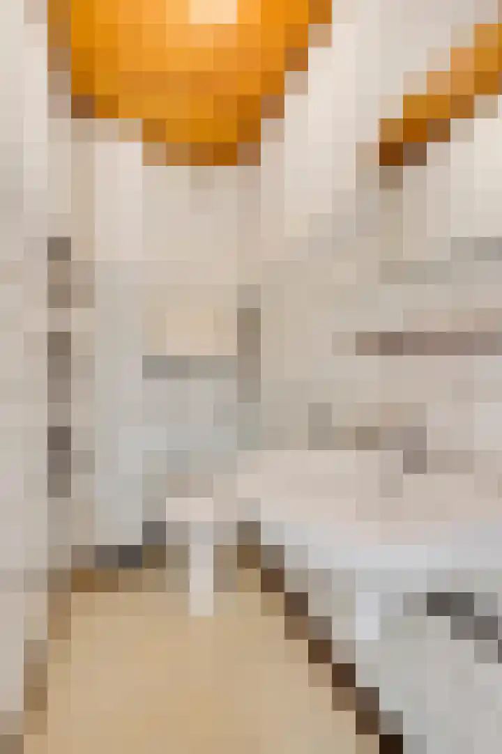 Niesstraat 14 Ell thumbnail 33