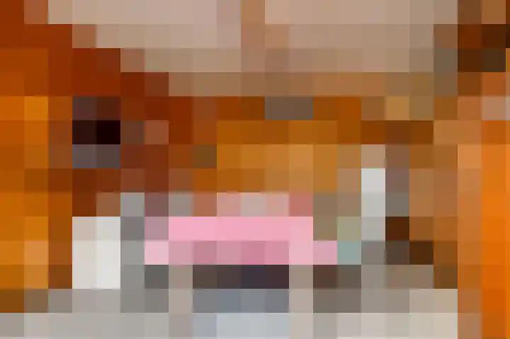 Niesstraat 14 Ell thumbnail 44