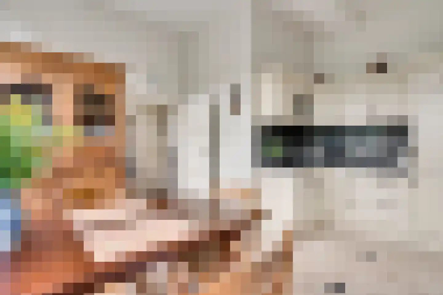 Niesstraat 3 Ell thumbnail 28