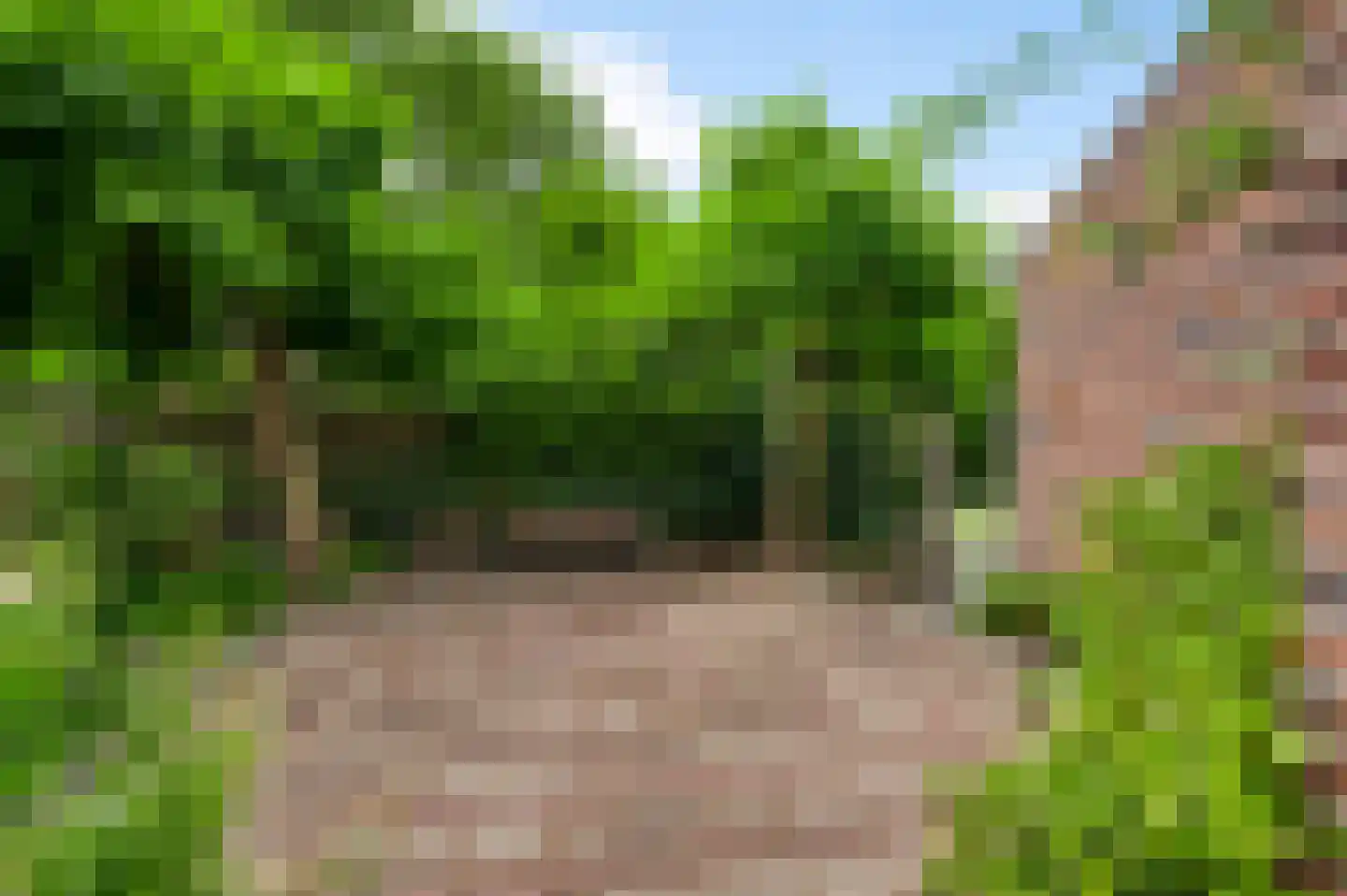 Niesstraat 3 Ell thumbnail 49
